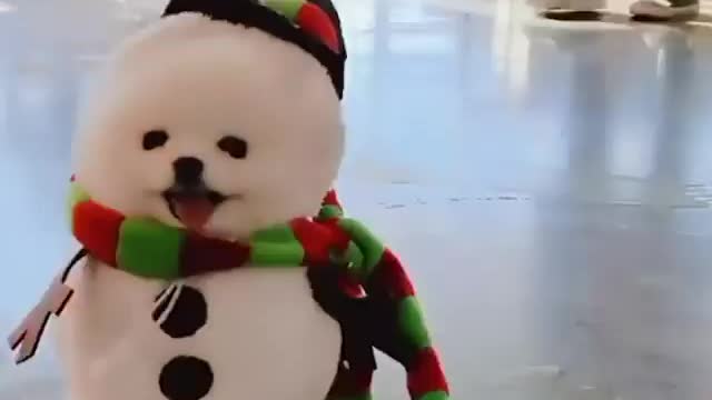 Fluffy snowman