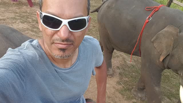 Man rides an elephant