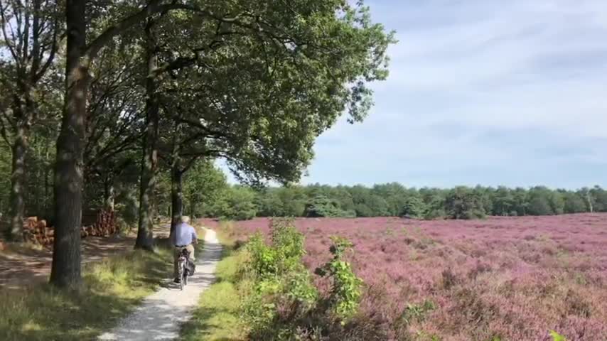 Couple with their cellphones Copyright free video footage No Copyright video footage