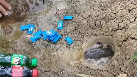 MENTOS COLA FISHING