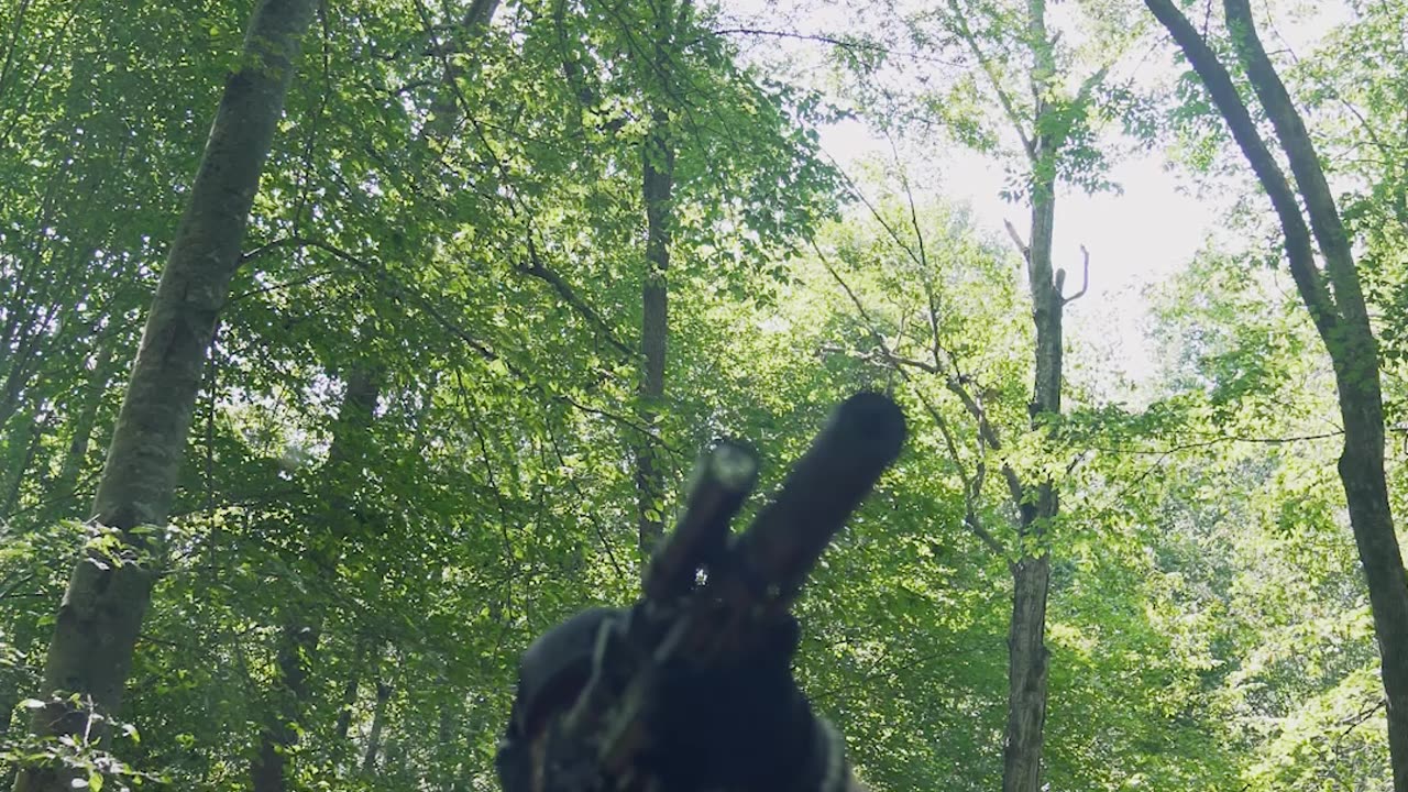 American Defense Rifle