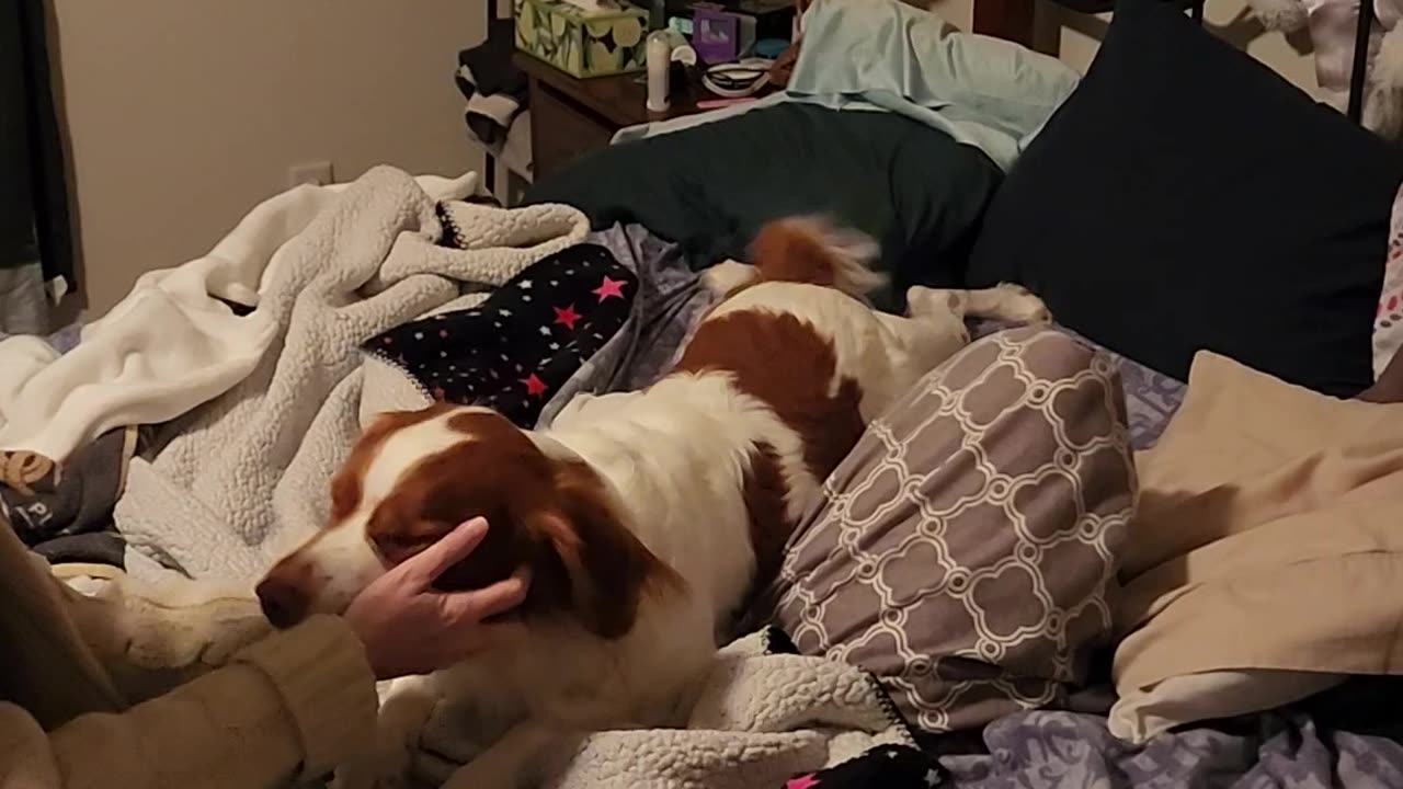 Playtime is better than bedtime