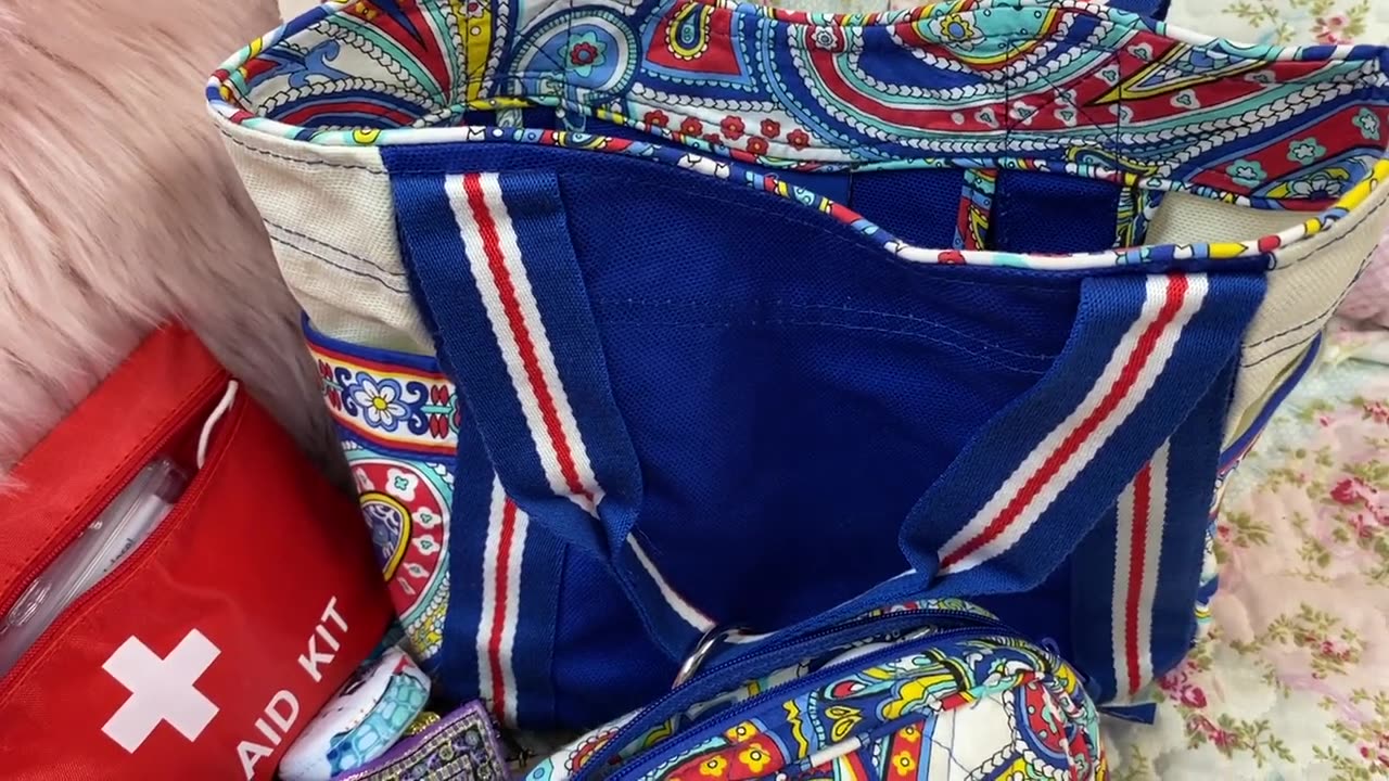 What's in my Vera Bradley Small Colorblock Tote in Marina Paisley.