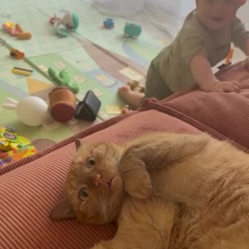 He is coming towards me isn’t he 😱😱🤣