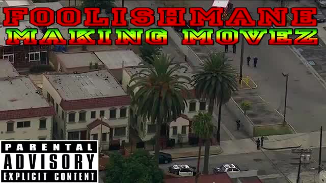 Foolishmane - Making Movez (Official Audio)_Cut