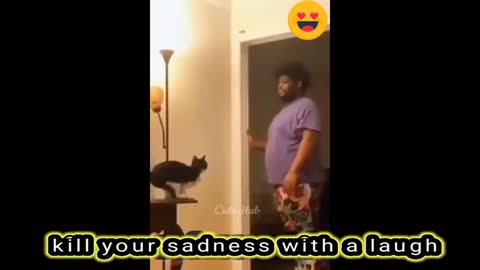 Most funny video | cat funny video | dog funny video | entertaining video | comedy video