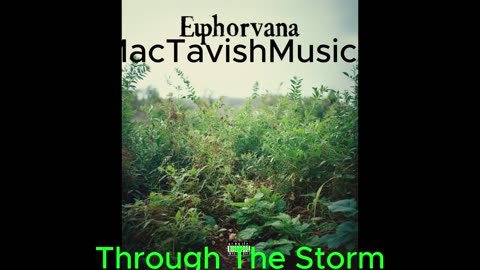 Through The Storm Euphorvana