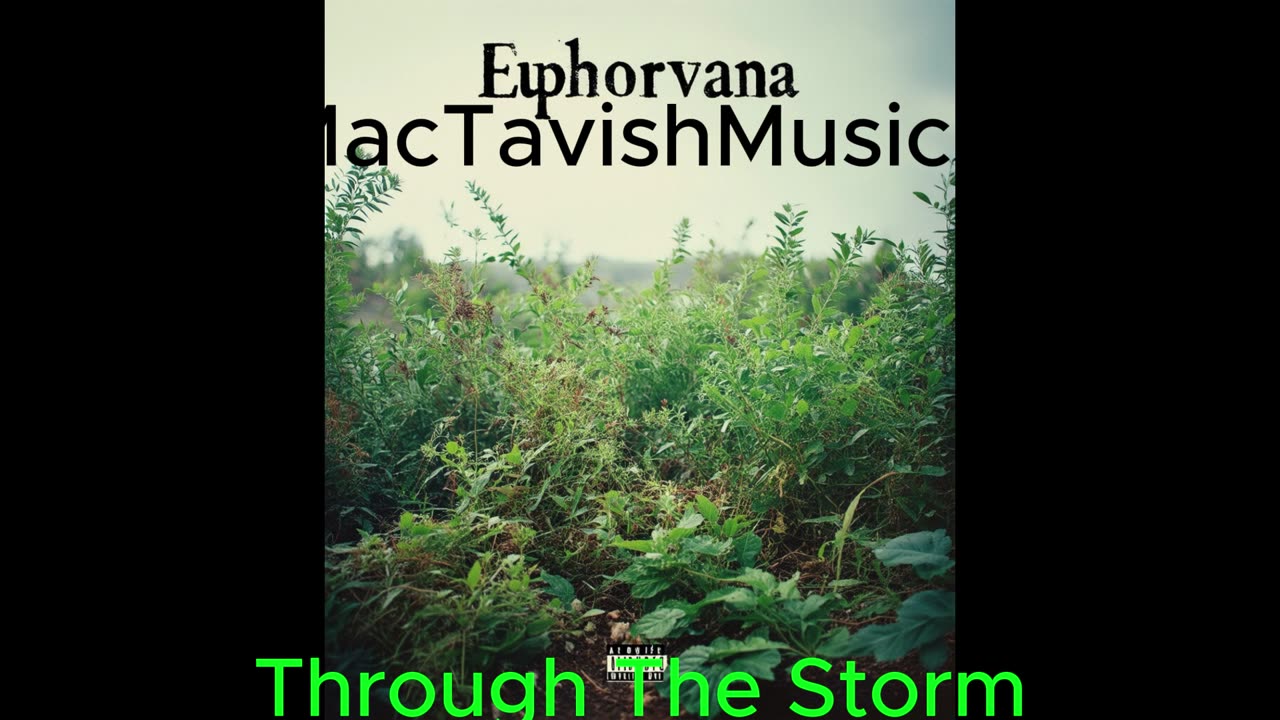 Through The Storm Euphorvana