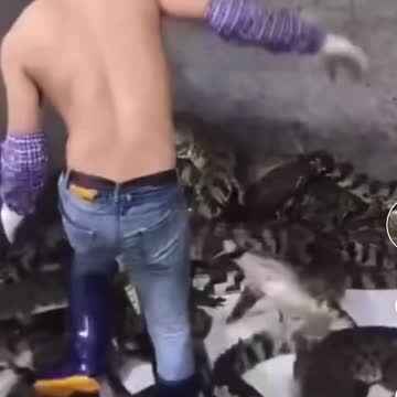 How do you apply lol