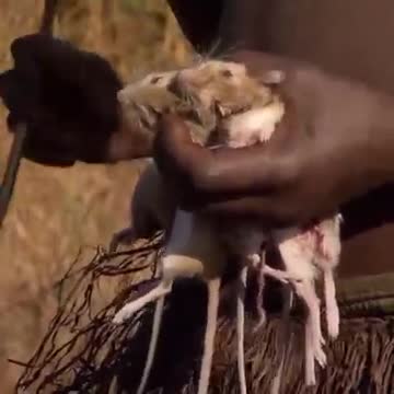 Village boys Hunting Mice