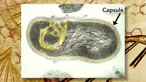 How Much Intelligence Does a SINGLE HUMAN CELL Have?