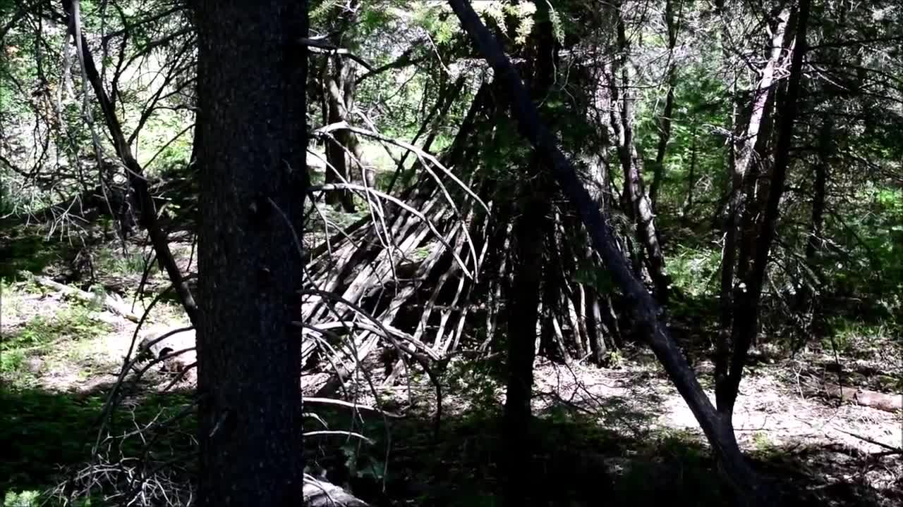 Comparing Sasquatch Structures to Human Built Structures