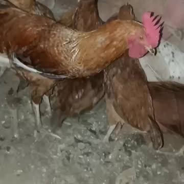 😂_ #shorts #ytshorts #comedy #funny #viral #viralshorts #tiktok #reels