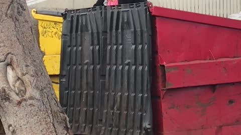 Woman in Dumpster Screams at Nobody