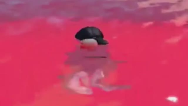 ROBLOX GAMING