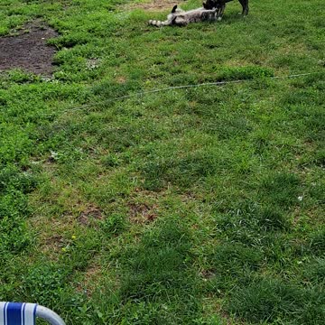 Non-stop Entertainment