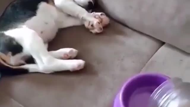 When you pretend to sleep but