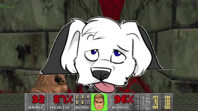 The Doomed Dog: Final Doom Review