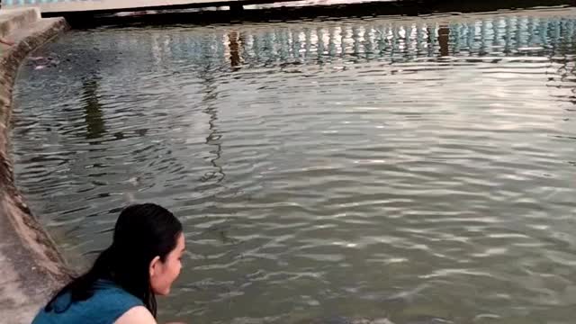 Cute girl feed the fish on the river