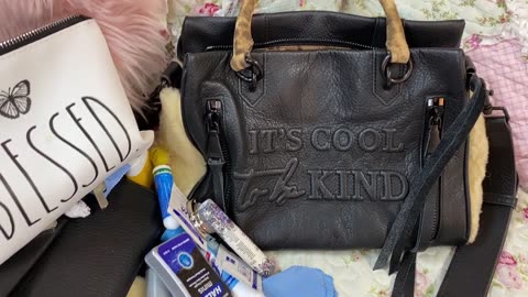 What's in my Aimee Kestenberg Satchel.