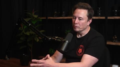 Elon musk on Donald trump