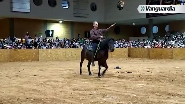 Feria Ganadera - Caballos