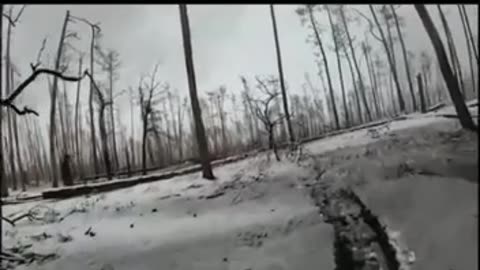 Ukrainians Clearing Trenches in the Kreminna Forests