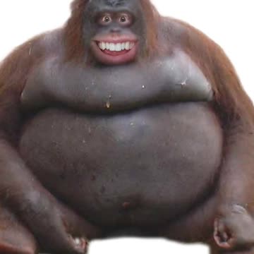 A Story about Taco Bell eh...