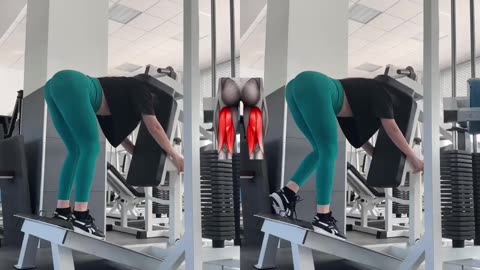Sport & fitness