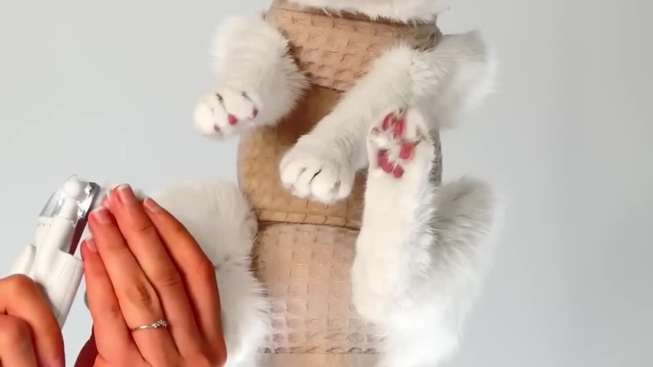 Very Interesting 😎😎😎