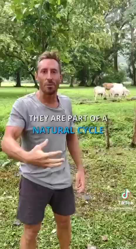 Finally some climate change common sense........LEAVE THE COWS ALONE!