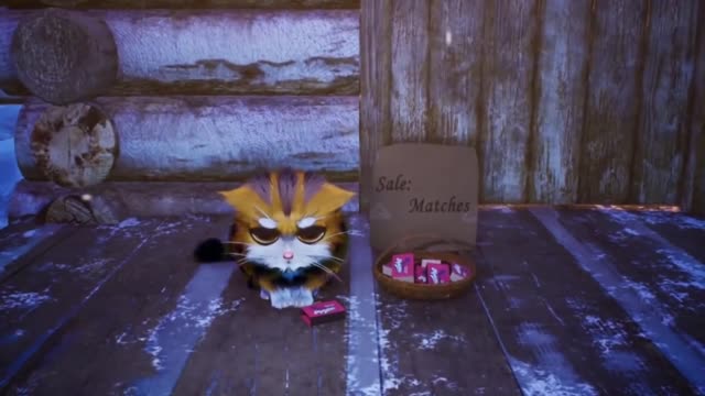 Kitten match V14