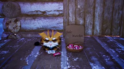 Kitten match V14