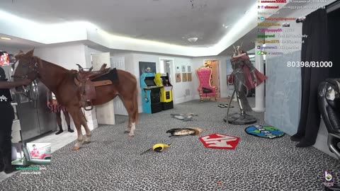 Kai Cenat Brought A Real Horse To His Room