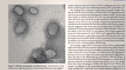 1st documentary movie on the origin of CCP virus, Tracking Down the Origin of the Wuhan Coronavirus