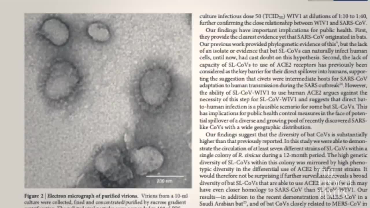 1st documentary movie on the origin of CCP virus, Tracking Down the Origin of the Wuhan Coronavirus