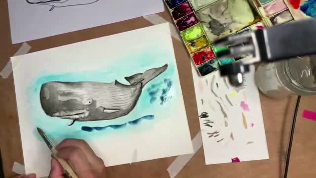 KOGIA BREVICEPS / URUFAUNA