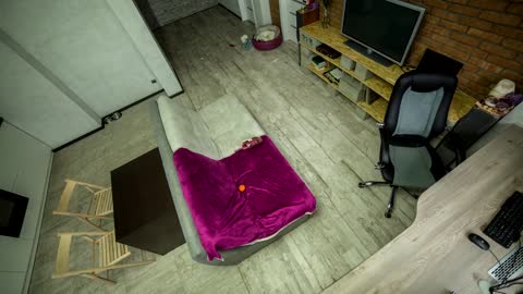 What do pets do when we are not at home.