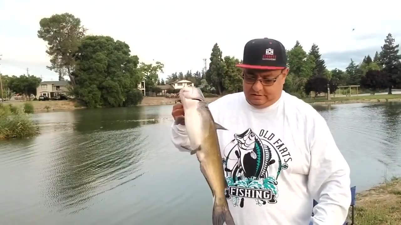 Old Farts Fishing - More Ellis Lake Catfish