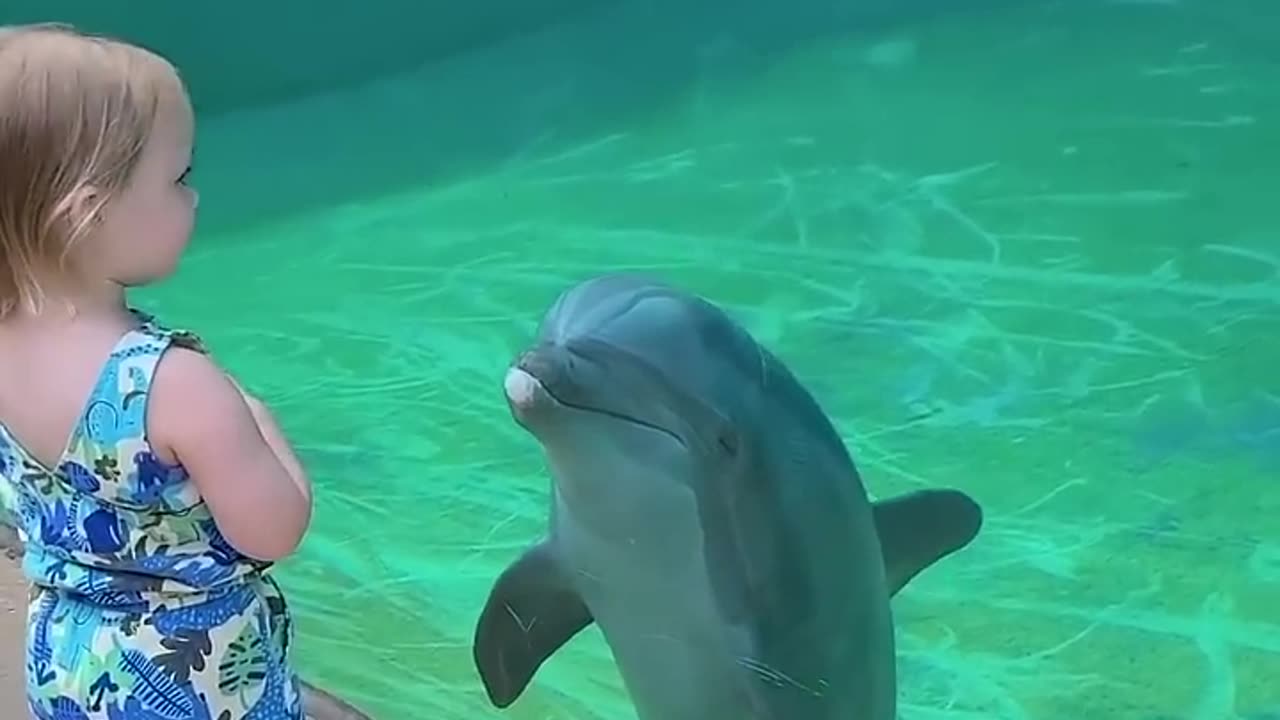 This little girl became best friends with a dolphin