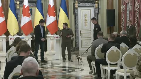 Canadian demining technologies experts of Ukraine was awarded by Zelenskiy and Justin Trudeau