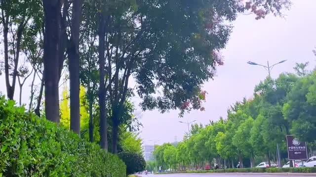 Autumn is a season to be missed.