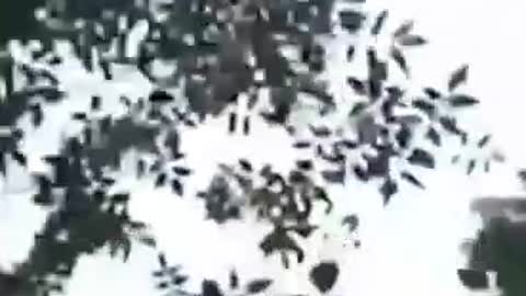 Russia uses high-precision weapons to hit Ukrainian targets in many places