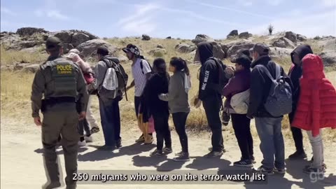 Trump and Harris' Immigration Records COMPARED | Election Facts