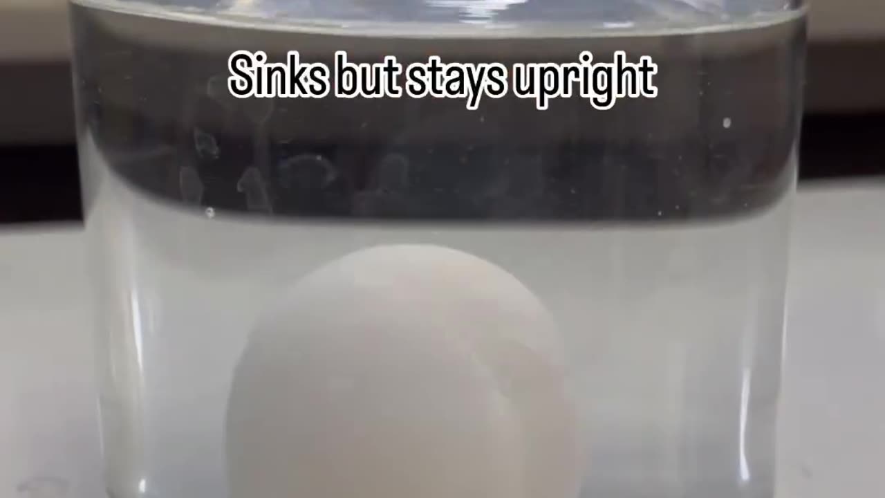 Useful Tip To Know If Your Egg Can Be Eaten Or Not (Must Watch!)