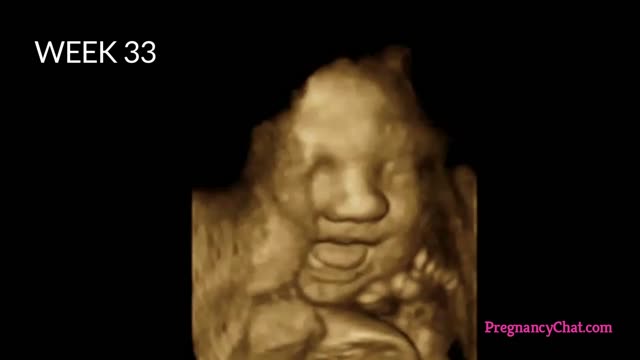 9 Months In The Womb A Remarkable Look At Fetal Development Through Ultrasound By PregnancyChat.com