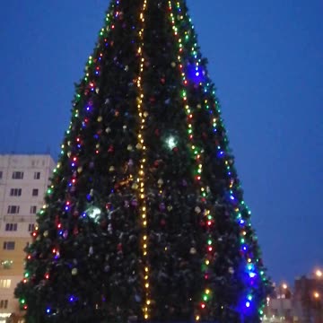 Gorgeous Christmas tree for the new year.