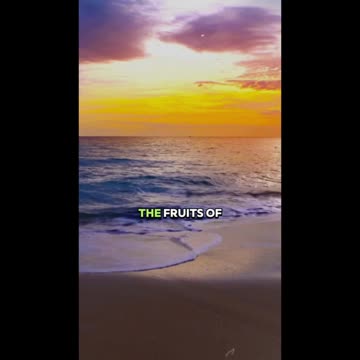 God Has Renewed You Mind Set