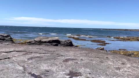 The Beaches and Back Woods of Ulladulla, NSW III