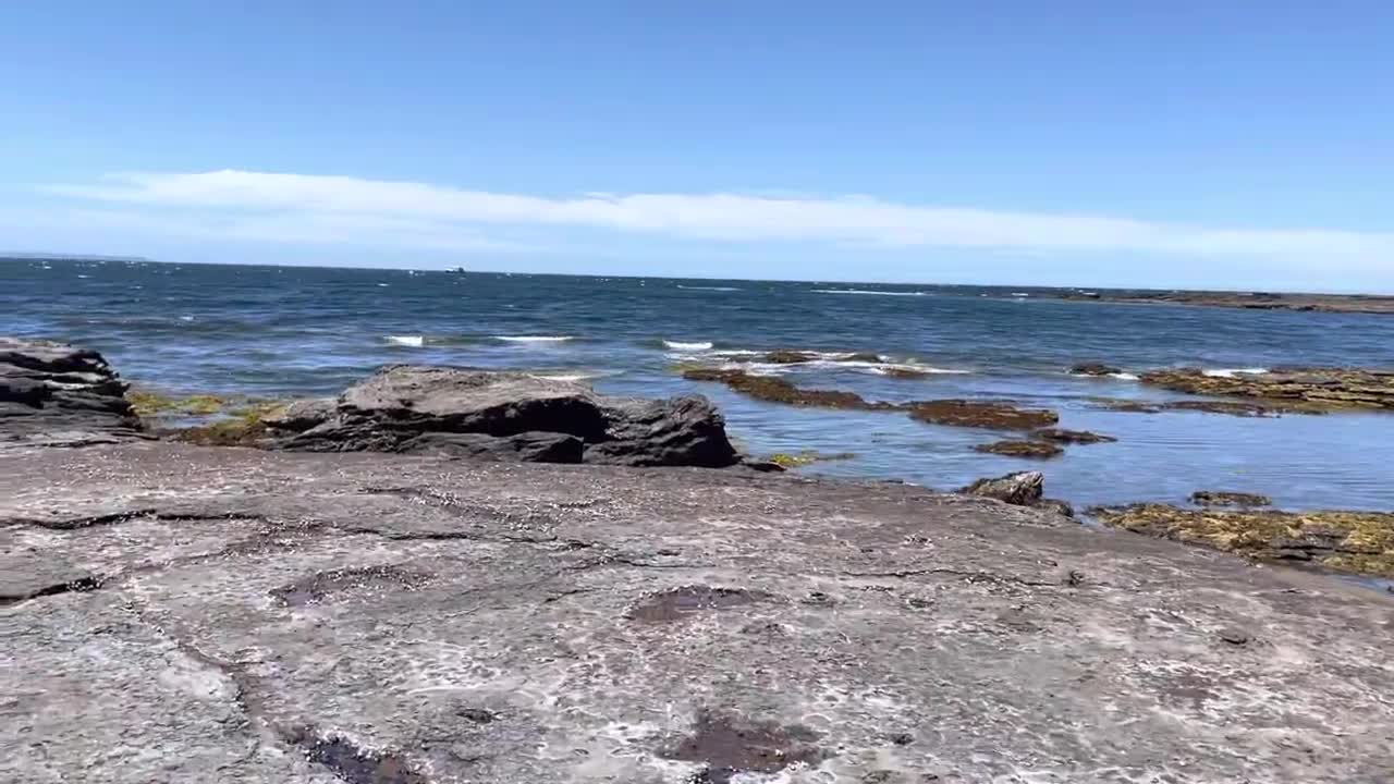 The Beaches and Back Woods of Ulladulla, NSW III